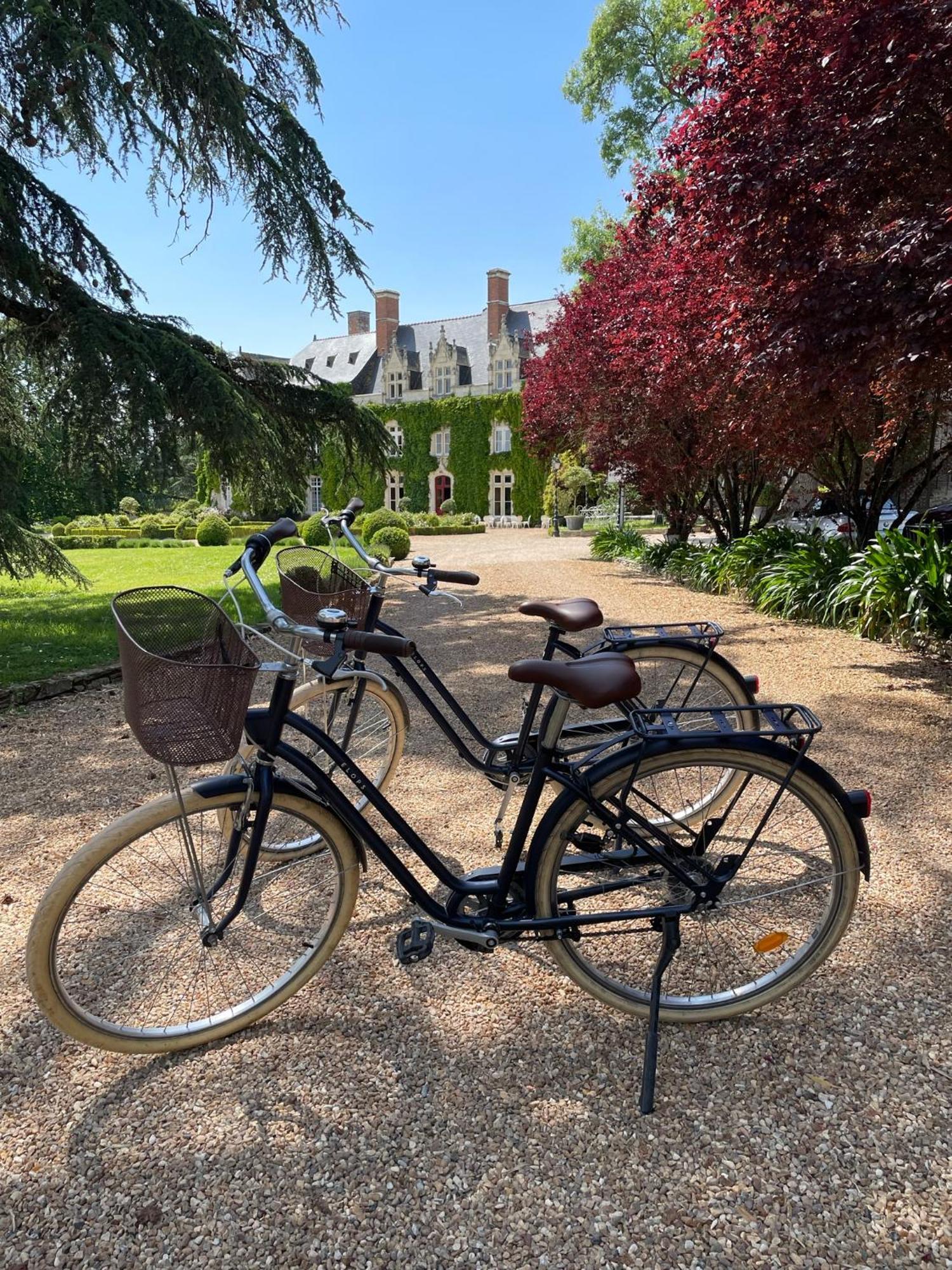 Chateau De L'Epinay Saint-Georges sur Loire ภายนอก รูปภาพ
