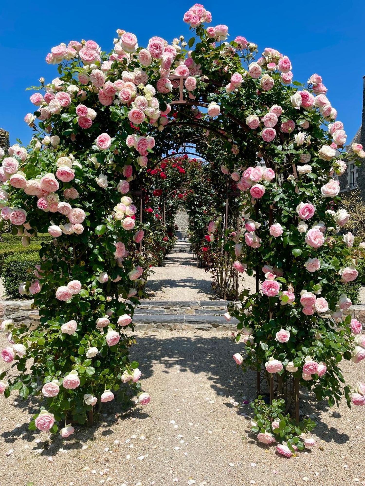 Chateau De L'Epinay Saint-Georges sur Loire ภายนอก รูปภาพ