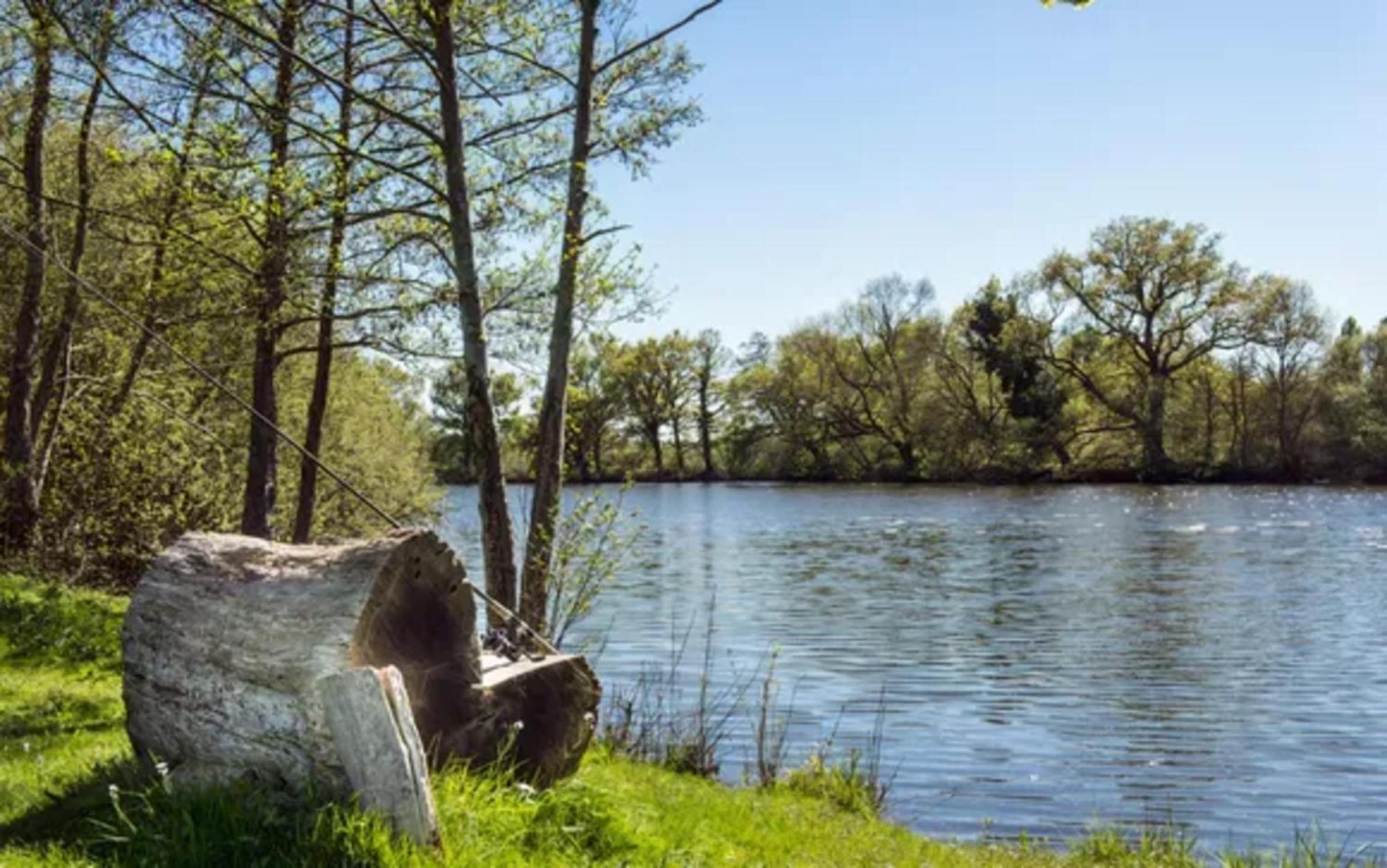 Chateau De L'Epinay Saint-Georges sur Loire ภายนอก รูปภาพ